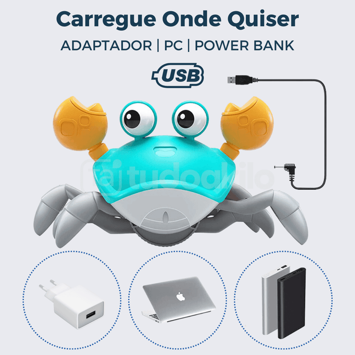 Sr. Caranguejo Fujão - tudoakilo