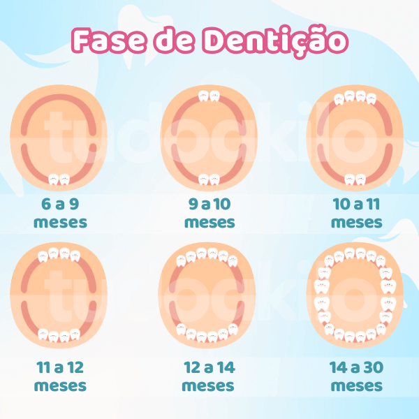 Kit Escova Dental Infantil de Silicone • Baby Dental  tudoakilo