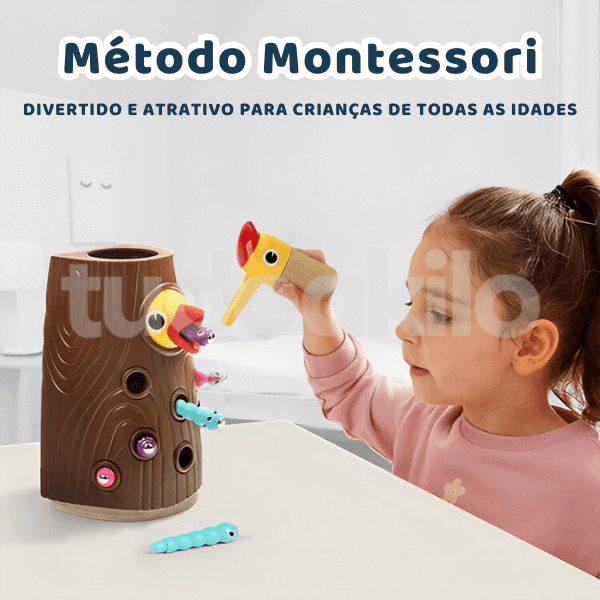 Pica-Pau Magnético Montessori - tudoakilo
