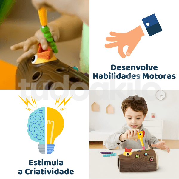 Pica-Pau Magnético Montessori - tudoakilo