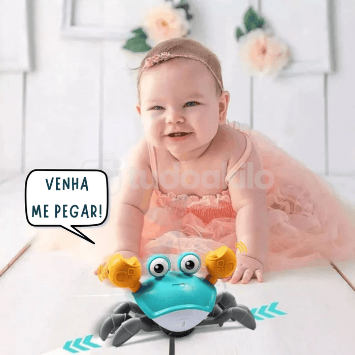 Sr. Caranguejo Fujão - tudoakilo